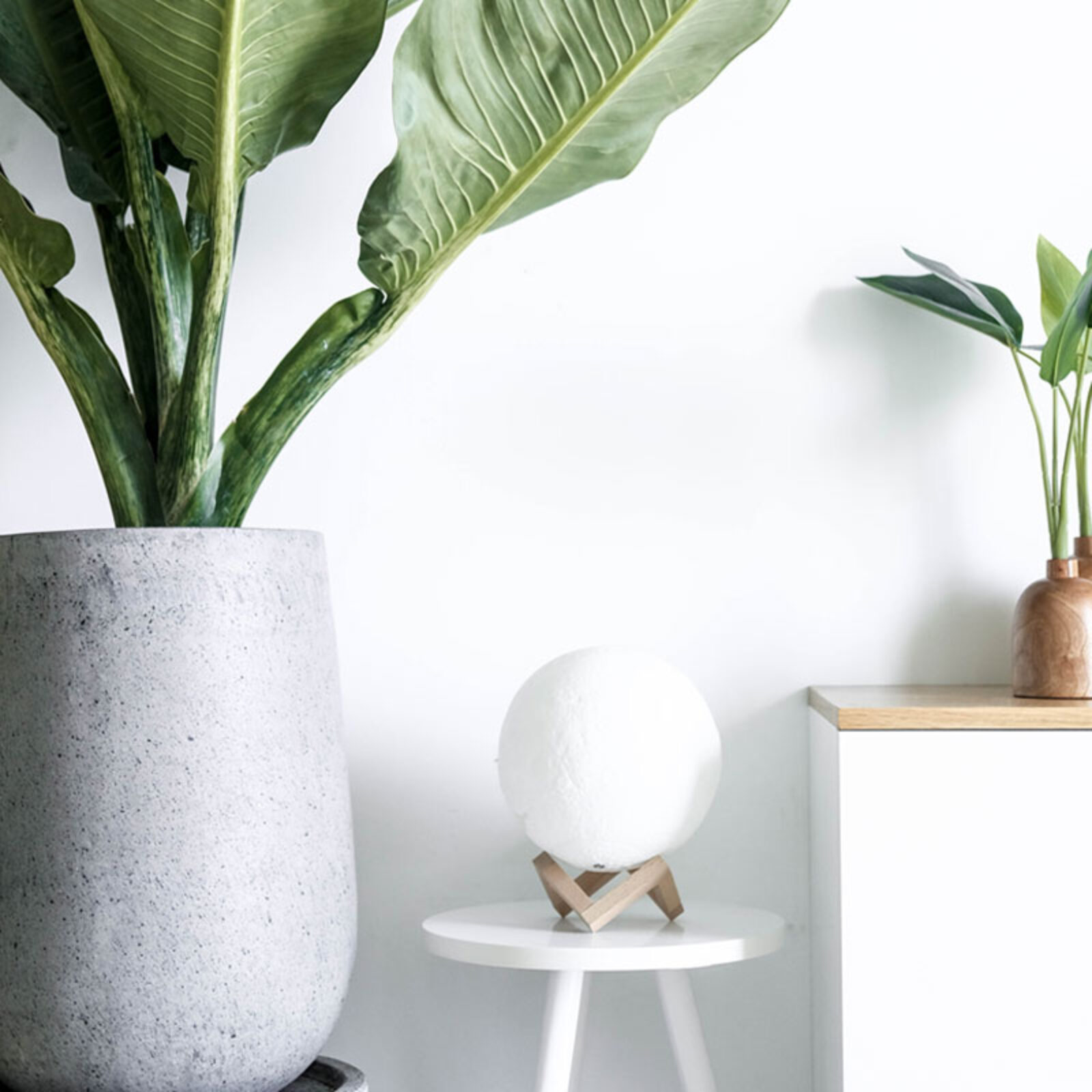Design-Nation Publishes ’20 Makers, 20 Objects'