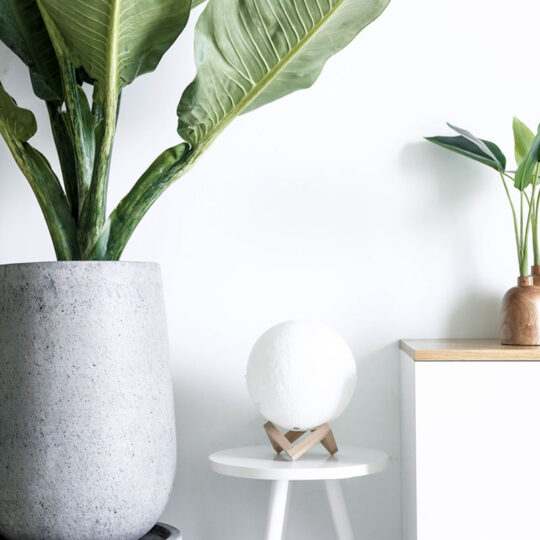 Design-Nation Publishes ’20 Makers, 20 Objects'